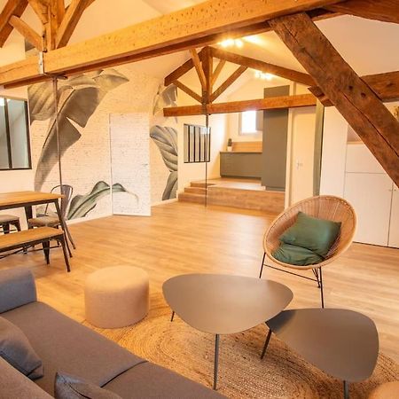 Loft Atelier Hyper Centre Albi Διαμέρισμα Εξωτερικό φωτογραφία