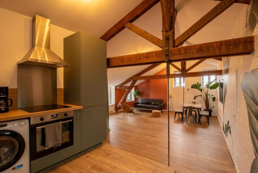 Loft Atelier Hyper Centre Albi Διαμέρισμα Εξωτερικό φωτογραφία