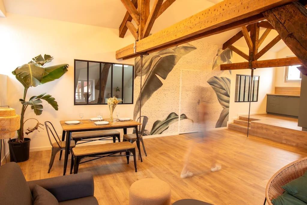 Loft Atelier Hyper Centre Albi Διαμέρισμα Εξωτερικό φωτογραφία